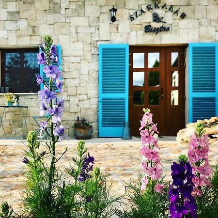 Szarka Vendeghaz Es Pince Daire Mád Dış mekan fotoğraf
