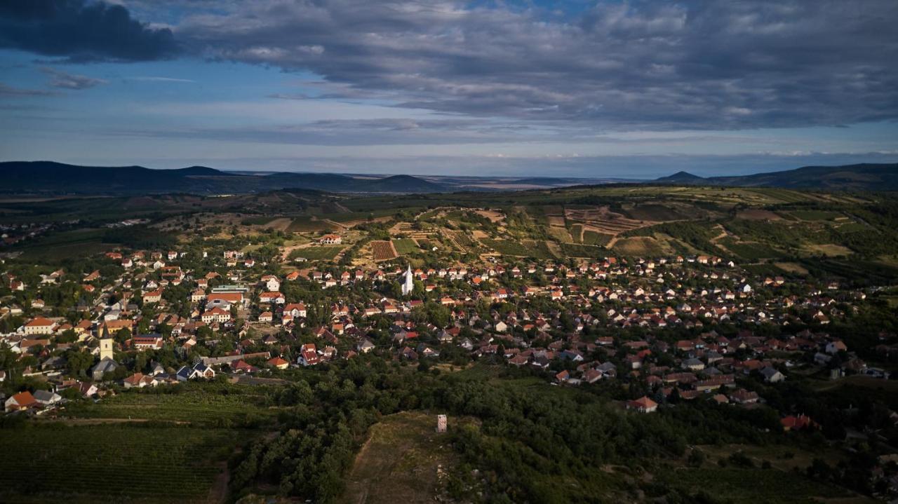 Szarka Vendeghaz Es Pince Daire Mád Dış mekan fotoğraf
